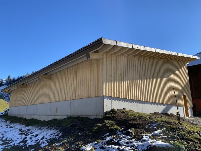 Neubau Remise, Muotathal